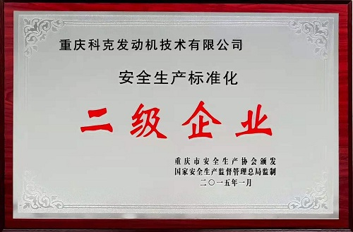 安全生產(chǎn)標(biāo)準(zhǔn)二級(jí)企業(yè)